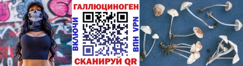 Псилоцибиновые грибы прущие грибы  кракен ТОР  Печоры 